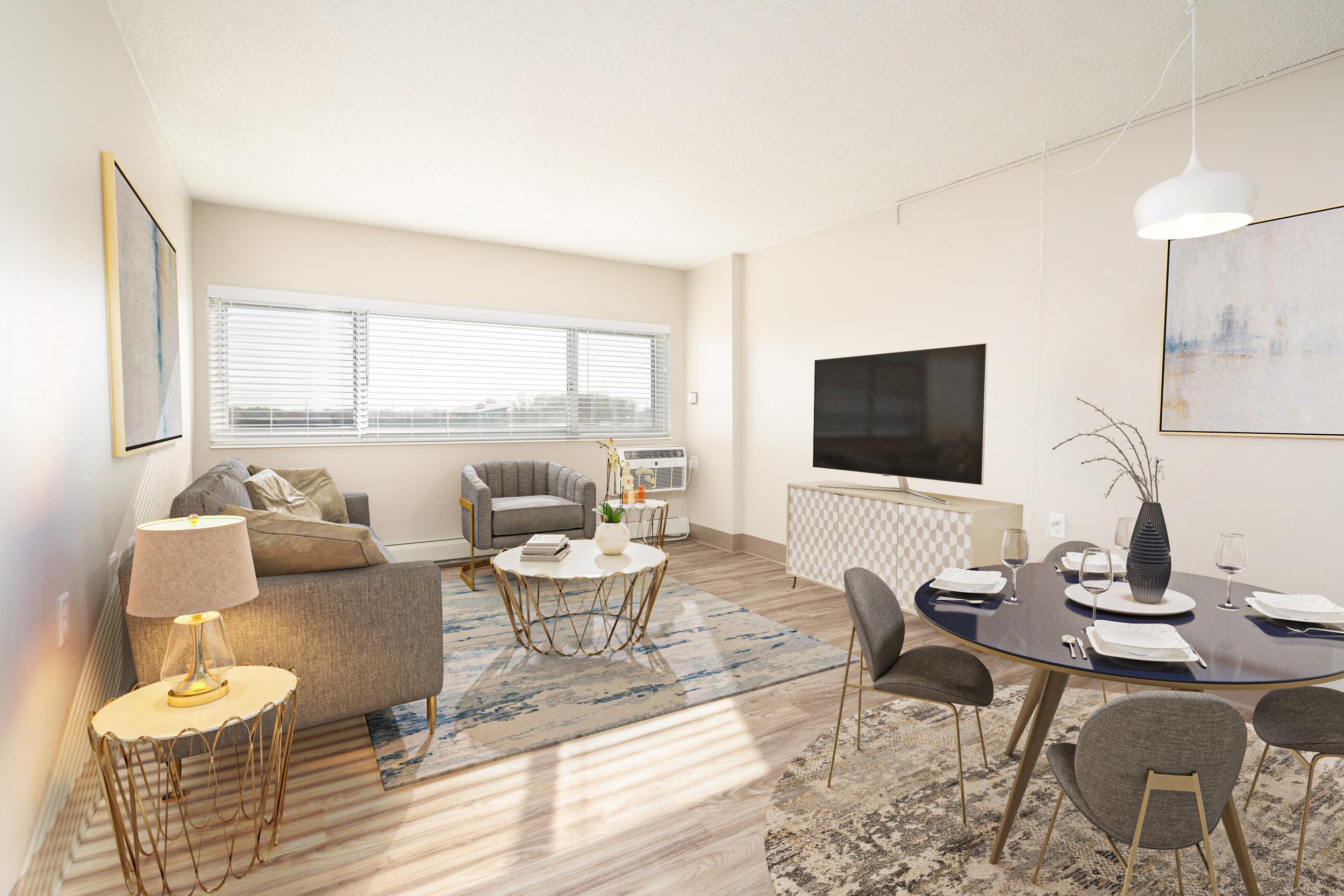 Large Natural Light Windows